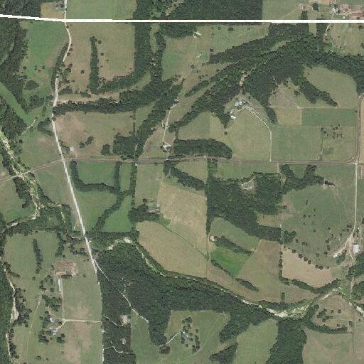 Loose brown dog reported on Cincinnati Creek Road