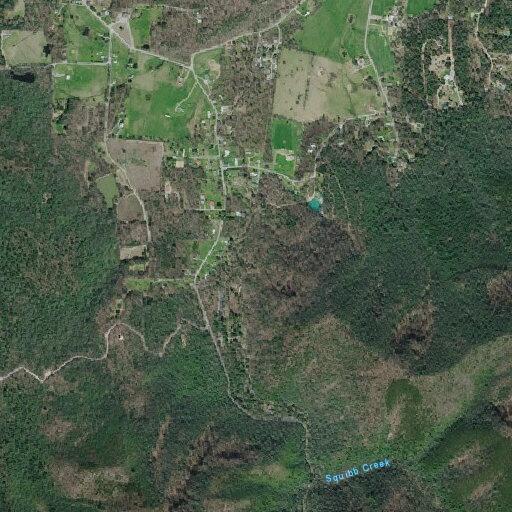 Flash flooding and evacuations in Greene County