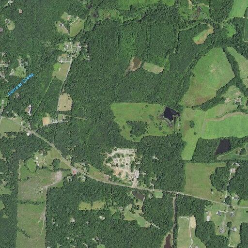 Person suffers a fall near Phelps Road