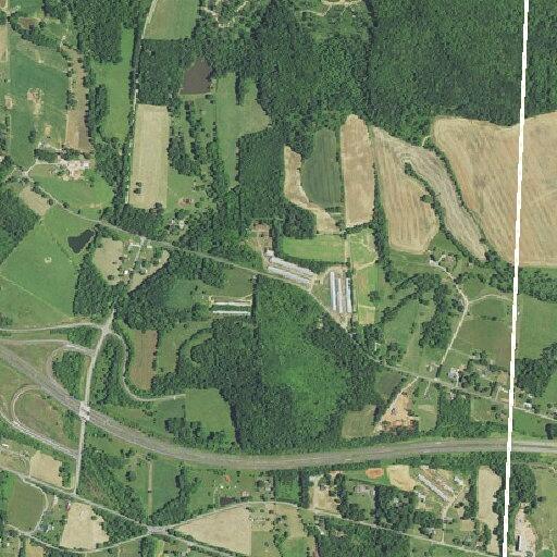 Loose dog blocking roadway near East Old US 421
