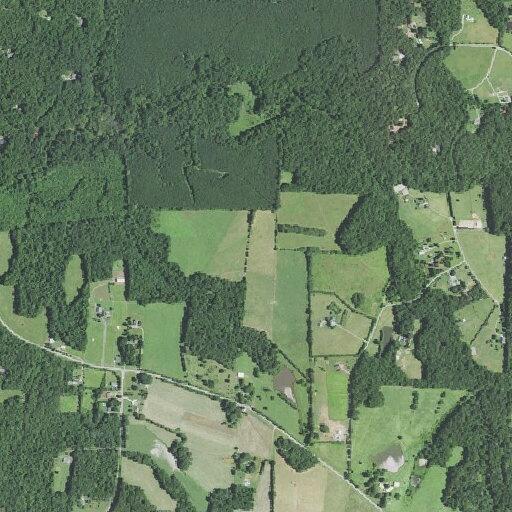 87-year-old female unconscious but breathing at Efland
