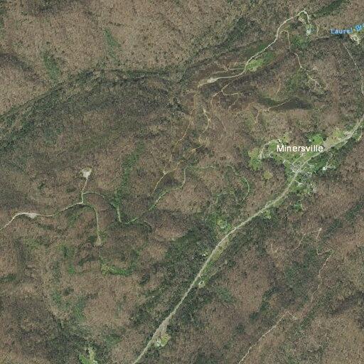 Tree partially blocking Briceville Highway lane