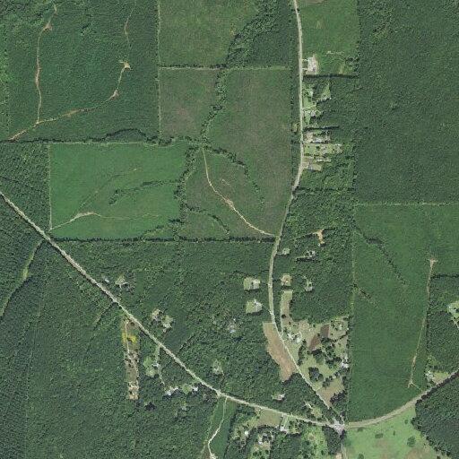 Person possibly having a stroke near Harrison Road