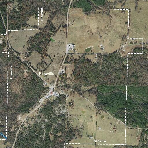 Loose cattle close part of Highway 412 near Pineville