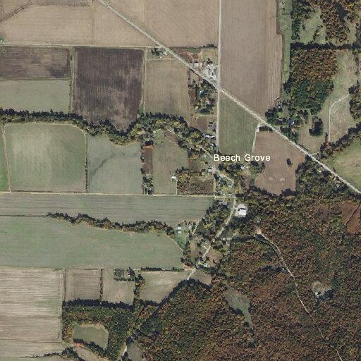 Vehicle hit deer on Highway 141 near Beech Grove