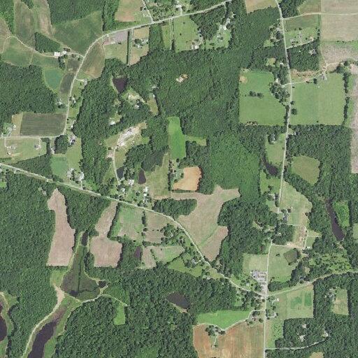 Unconscious woman with breathing difficulty at Cedar Grove