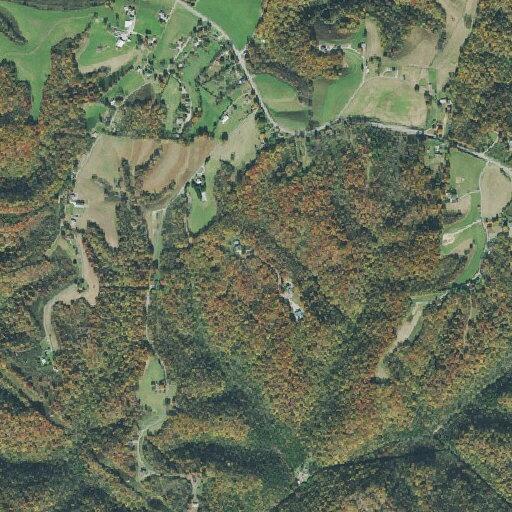 Possible physical altercation at Bruce Ridge Road