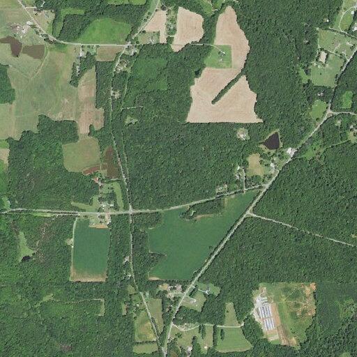 Woman aged 54 reports chest pain near Cedar Grove