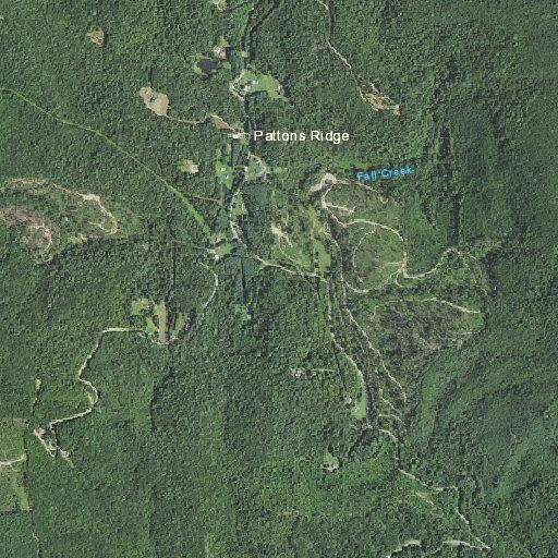 Person rescued after falling down bank on Fall Creek Road