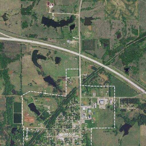 20-year-old female choking and vomiting in Glencoe