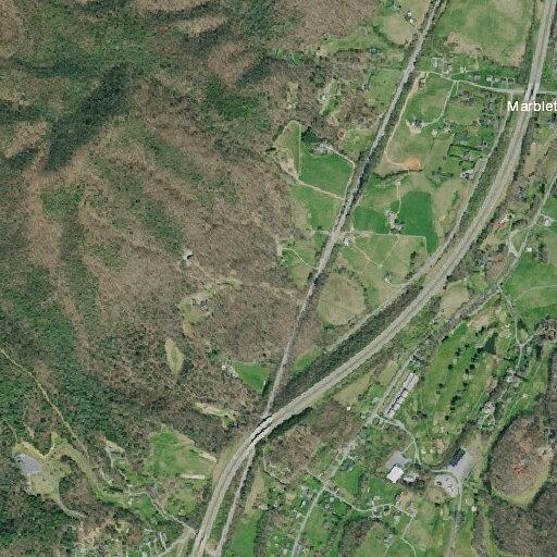 Elderly female possibly fell near Buffalo Mountain Lane