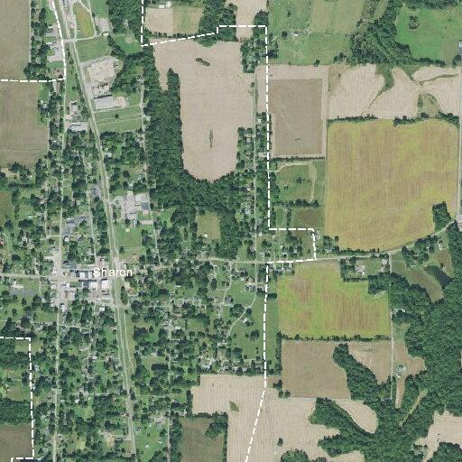Report of possible gunshots near Main Street home