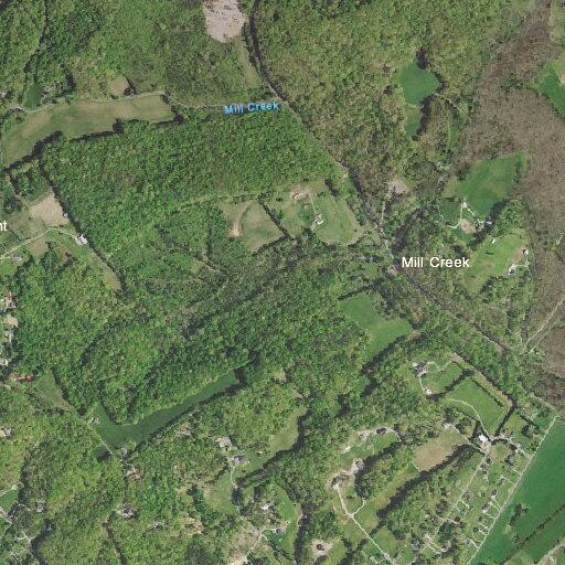 Person reporting abdominal or back pain near Andersonville