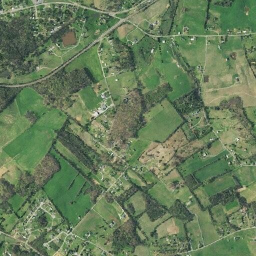 Man with abdominal pain and vomiting at Pullen Rd