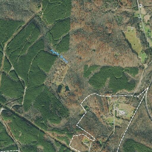Tree blocks Morgan County Highway in Sunbright