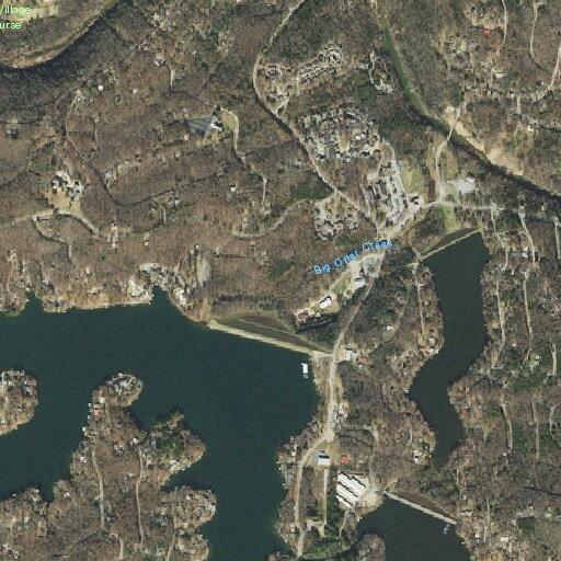 Injured deer reported near dock on Thunderbird Lake