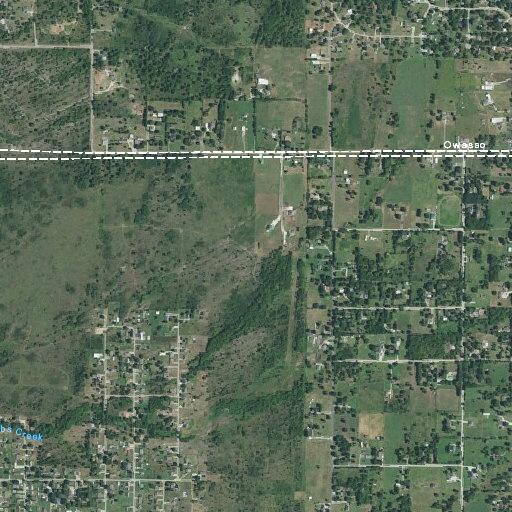 Elderly woman falls, reports leg pain near Elm Road