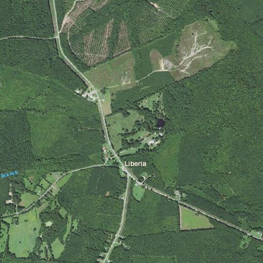 Cow reported on property near highway address