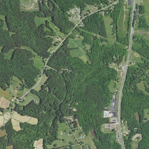 Tree blocking entire roadway on Williams Road