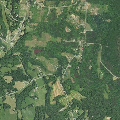 Vehicles hit cows in roadway on Flat Shoals Road