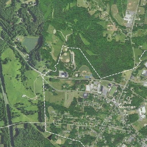 Vehicle hit deer on Lynchburg Road