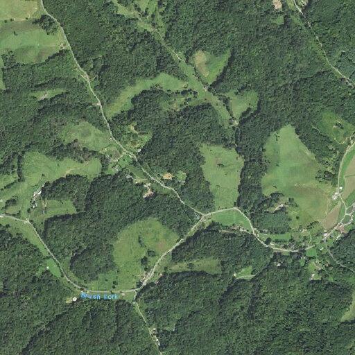 81-year-old man with elbow injury found in driveway
