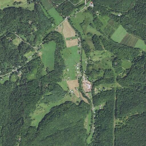 Woman with head injury after fall near Eller Road