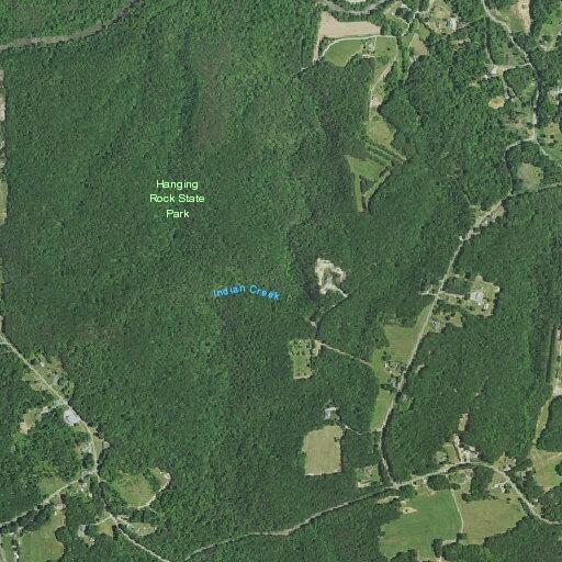 Loose pigs reported near Piedmont Springs Road