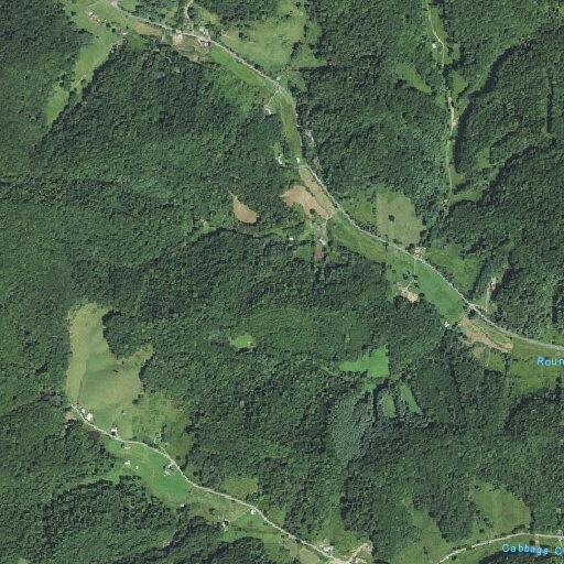 Person with diabetic problem at Cabbage Creek Road