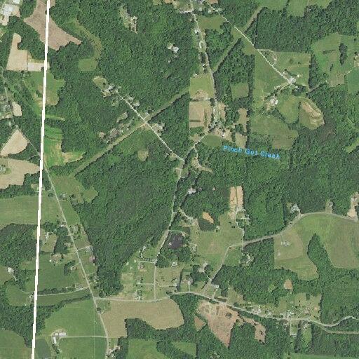 Tree blocking roadway on Ring Road in Stokes County
