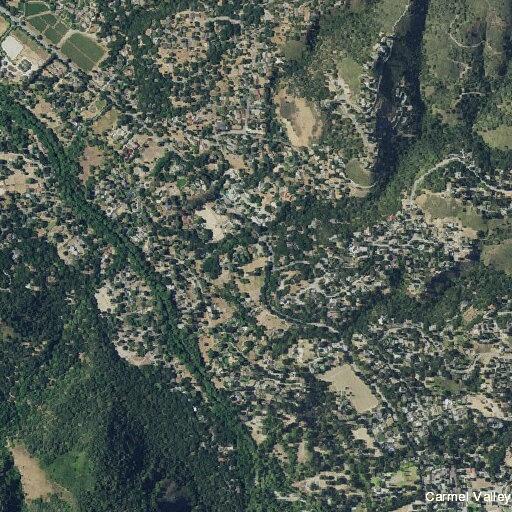 65-year-old male altered but breathing in Carmel Valley