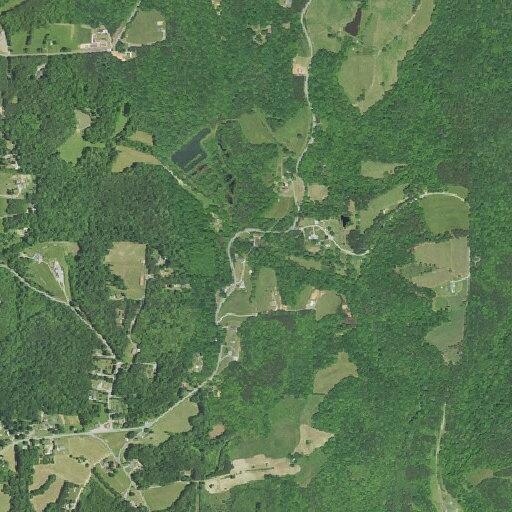 Driver record check on Cold River Run Road