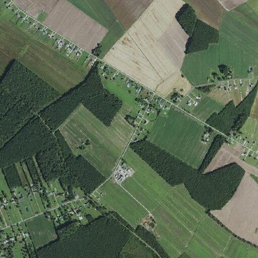 Person receiving CPR near Culpepper Road