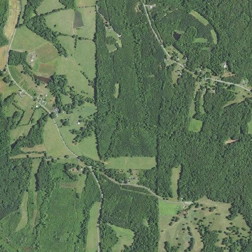 Person reported sick near Bark Road in Rockingham County
