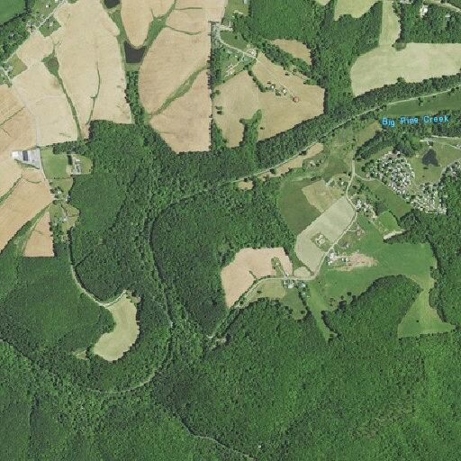 Report of toxic burning near Mountain Lake Road