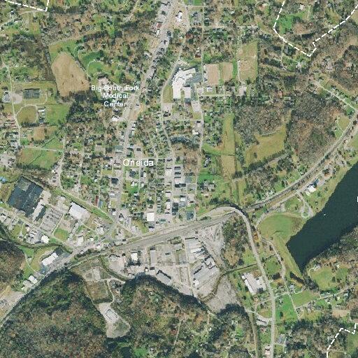Report of violent disturbance near Main Street in Oneida