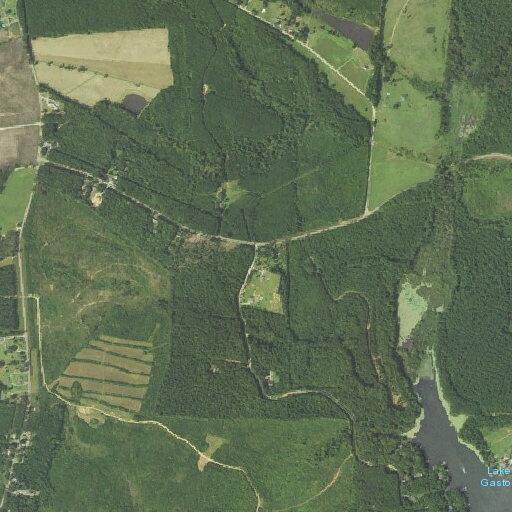 Woman with pain and vomiting near Country Lane