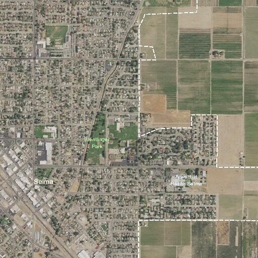 Person fell near Dockery Avenue in Selma