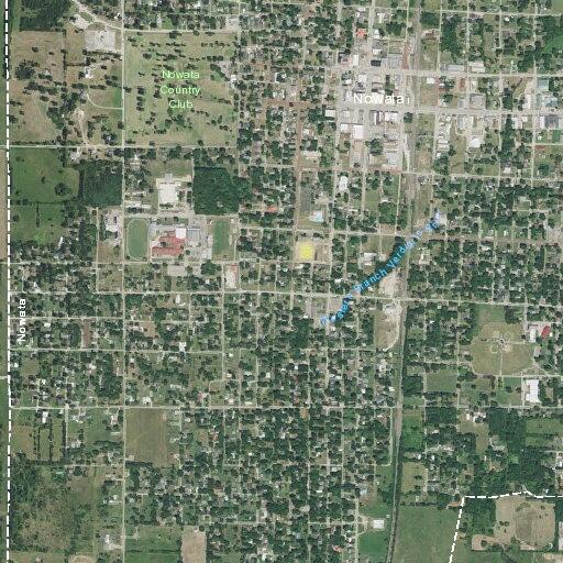 Person bitten by dog near South Pecan Street, Nowata