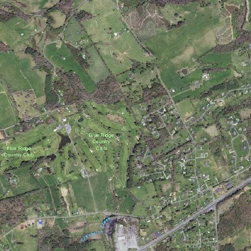 Livestock loose near Carrollton Pike