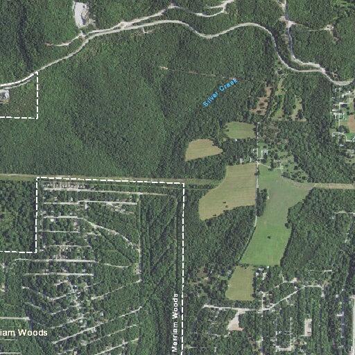 Chainsaws reported stolen from vehicle on Honey Lane