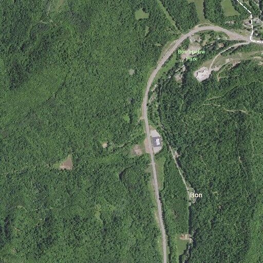 Injured deer reported on Kentucky 92 near Williamsburg
