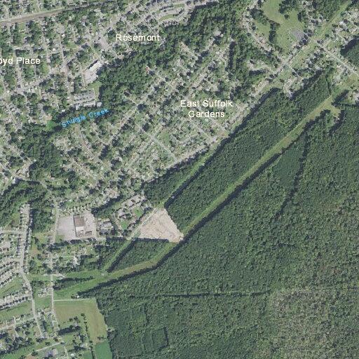 Woman bitten on hand in assault at Davis Boulevard