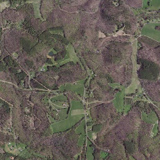 Male experiencing dizziness and near fainting near Laurel Fork