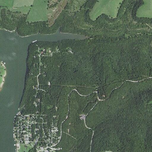 Tree blocking lane on West State Highway 76