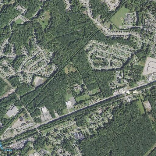 Person reporting abdominal pain at Wilson Pines Apartments