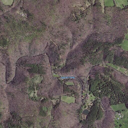 77-year-old man falls exiting wheelchair in Laurel Fork