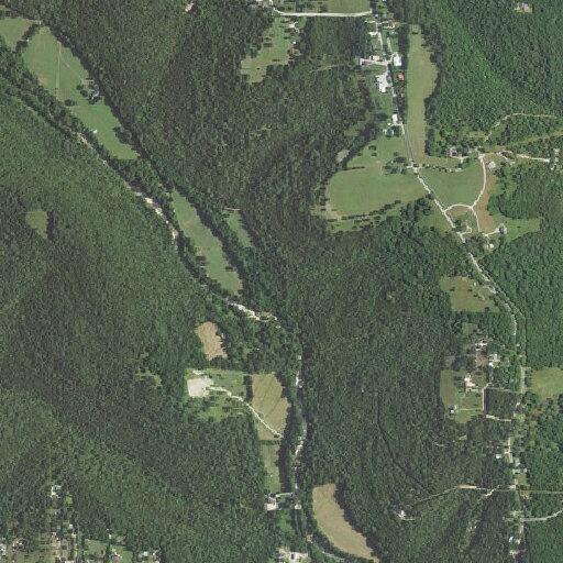 Neighbor’s dog reported killing several cows