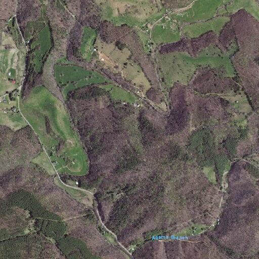 Person fell near Adams Branch Road in Dugspur