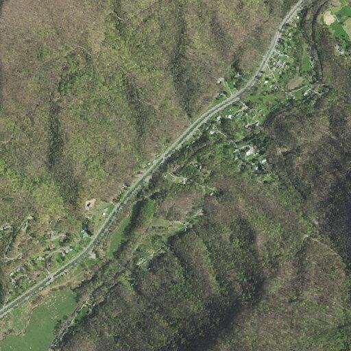 Vehicle hits deer; driver reports chest pain